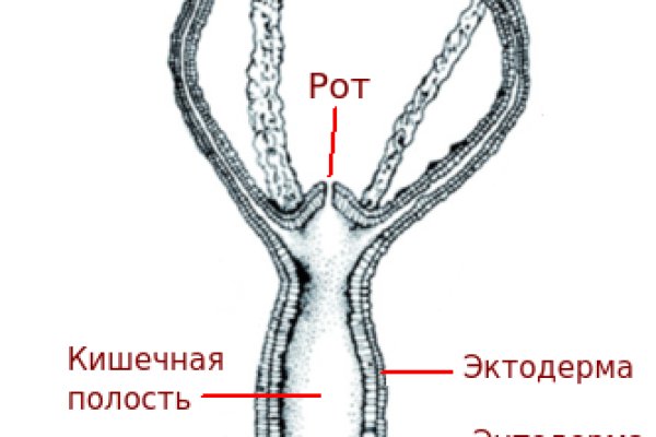 Рабочие ссылки omg omg